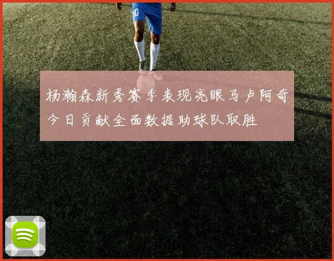 杨瀚森新秀赛季表现亮眼马卢阿奇今日贡献全面数据助球队取胜